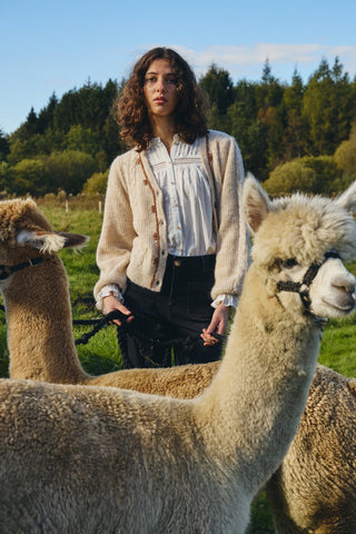 Cardigan, veste, tricot boutonné