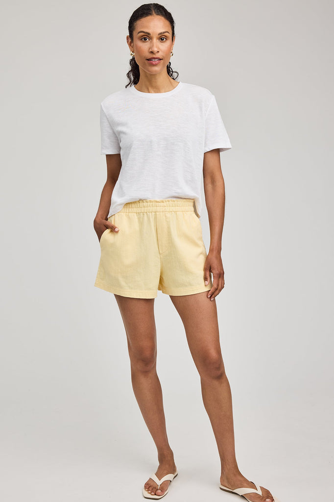 Short Gentle Fawn Québec, Canada